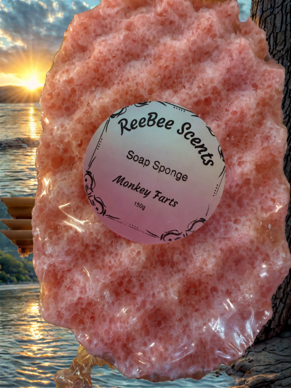 Soap Sponge
